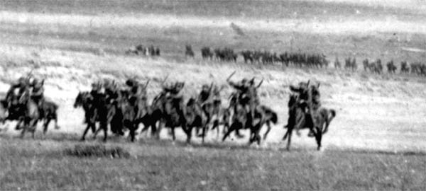 Australian Light Horse