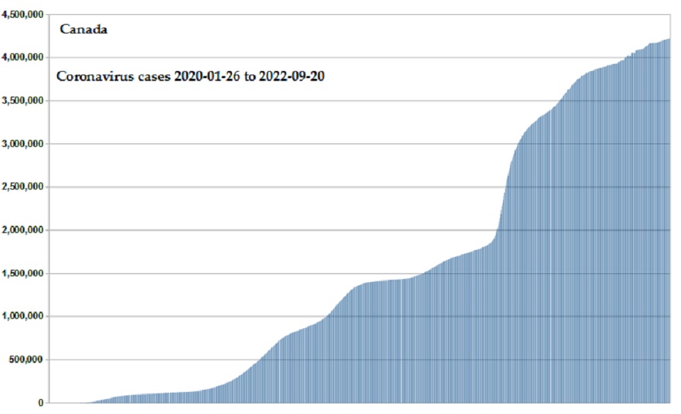 Coronavirus 2020 cases