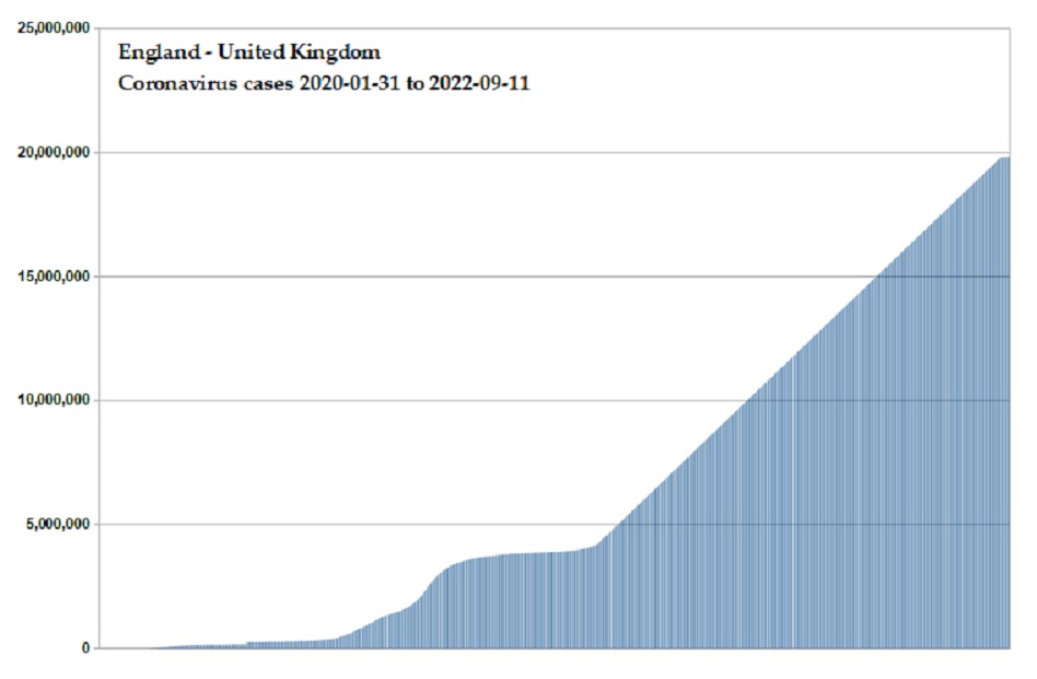 Coronavirus 2020 cases