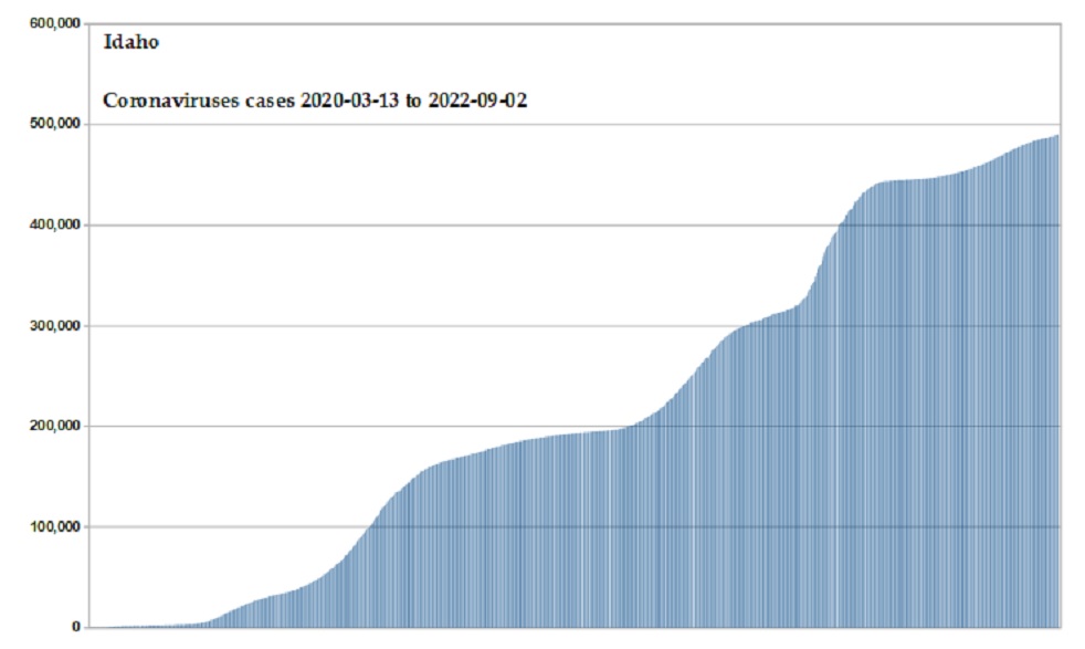 Coronavirus 2020 cases