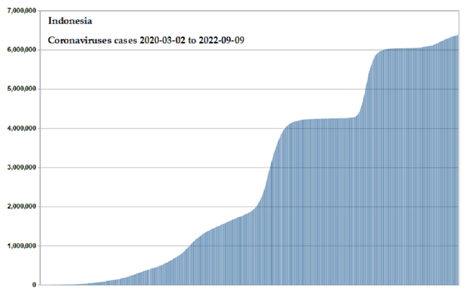 Coronavirus 2020 cases
