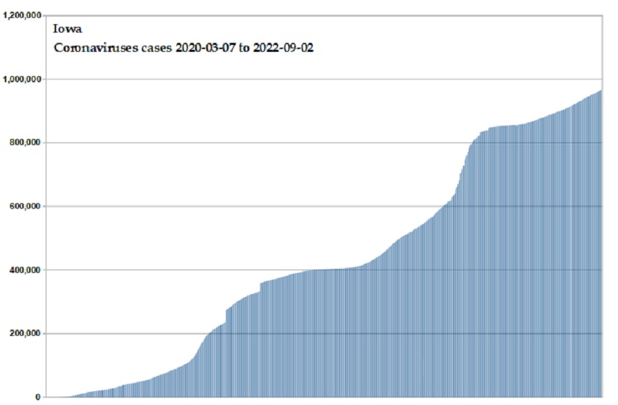 Coronavirus 2020 cases