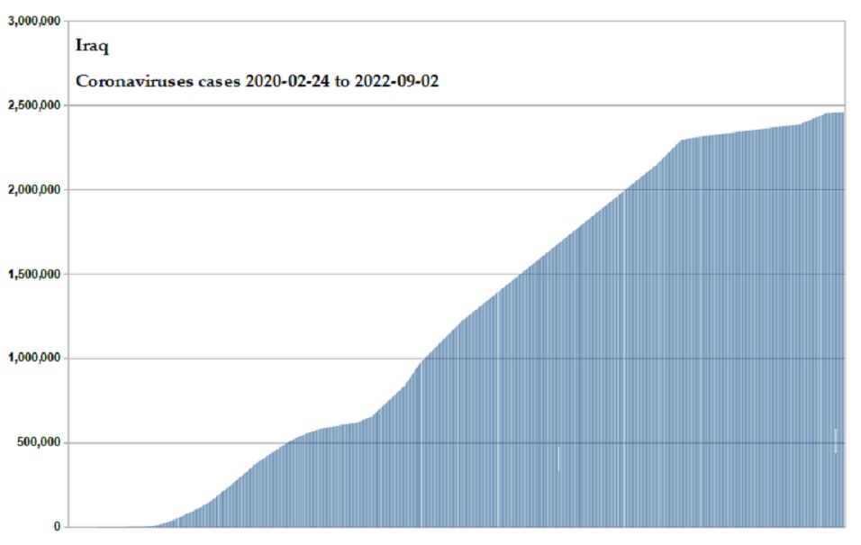 Coronavirus 2020 cases