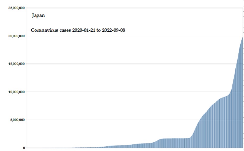 Coronavirus 2020 cases