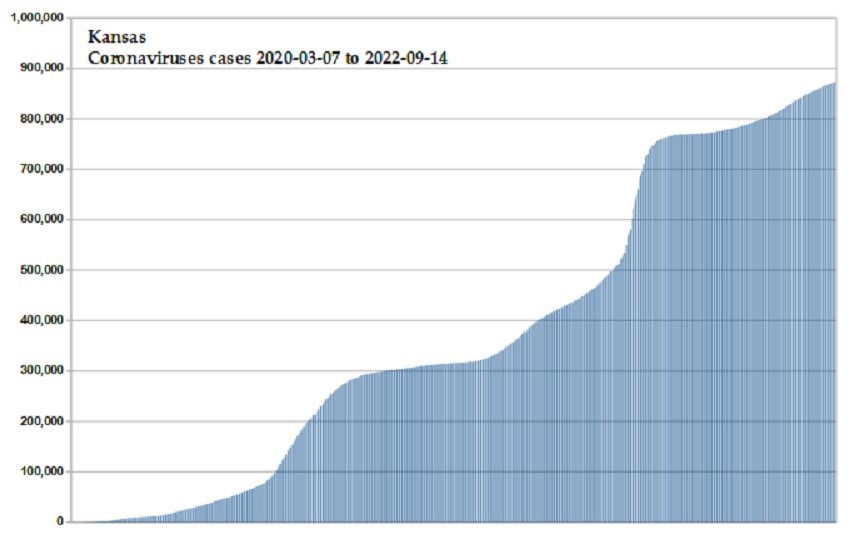 Coronavirus 2020 cases