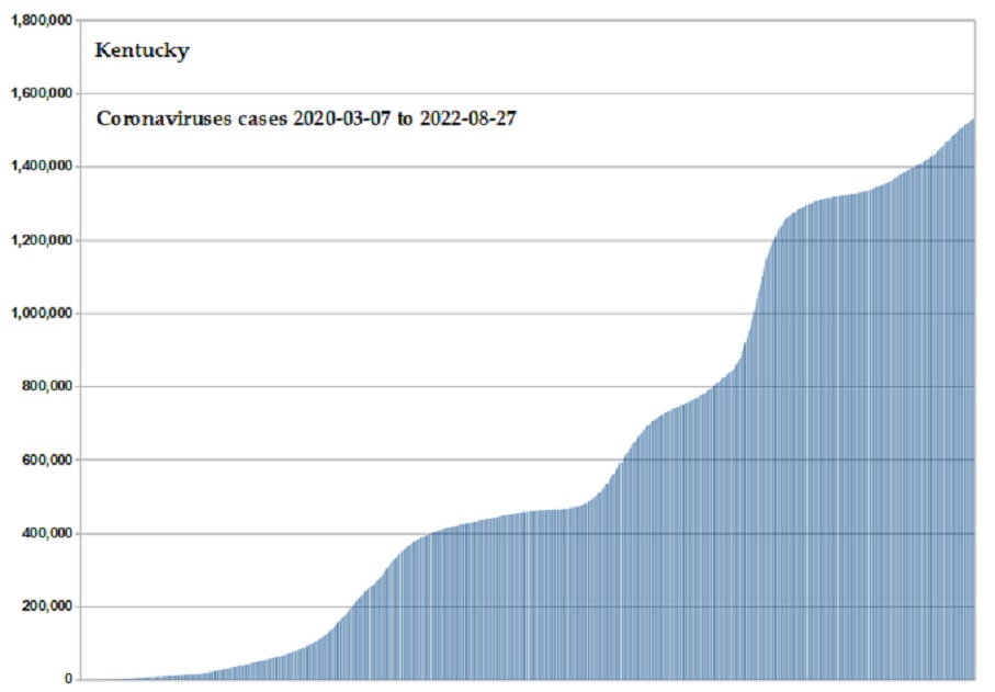 Coronavirus 2020 cases