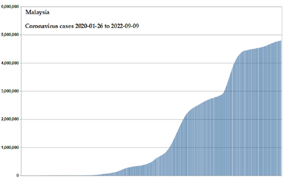 Coronavirus 2020 cases