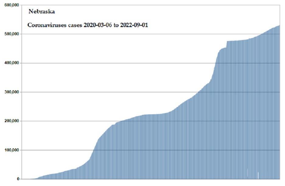 Coronavirus 2020 cases