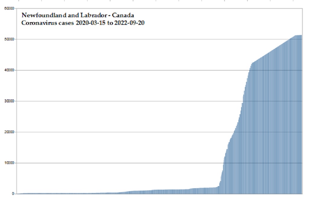 Coronavirus 2020 cases