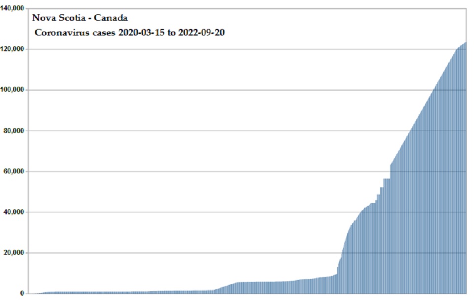 Coronavirus 2020 cases
