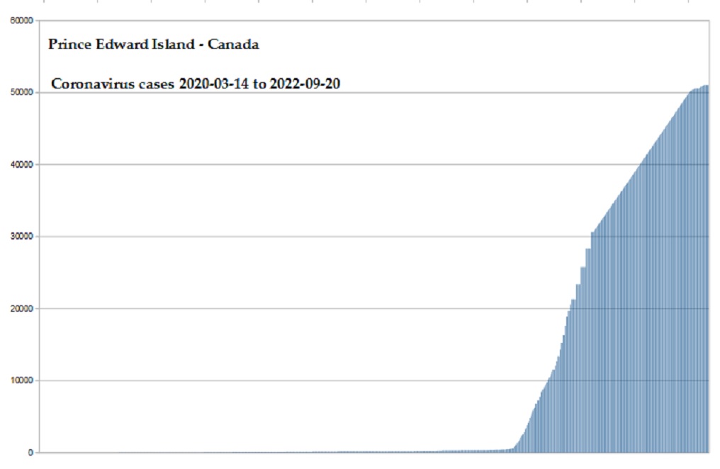 Coronavirus 2020 cases