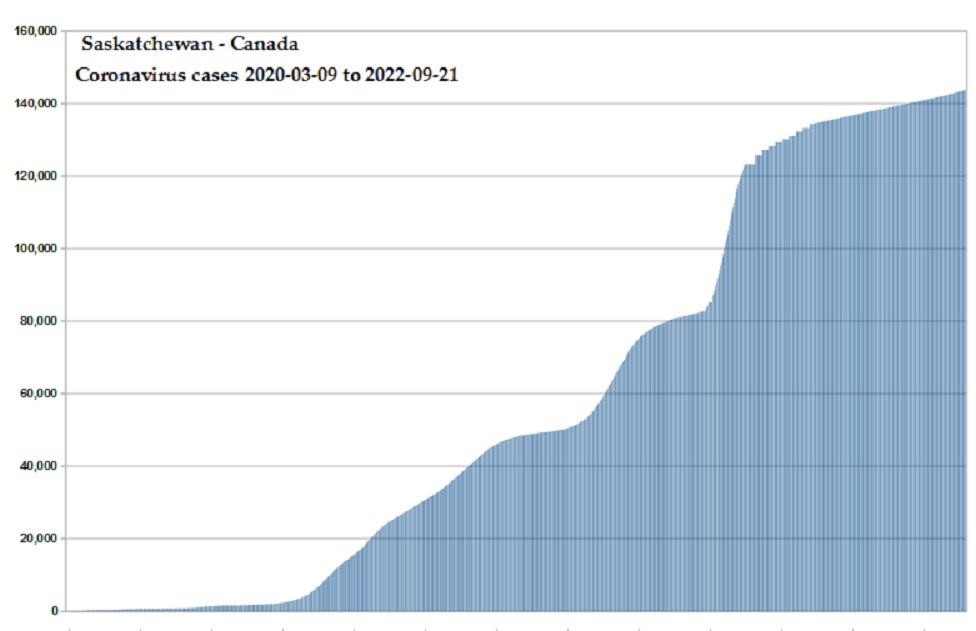 Coronavirus 2020 cases