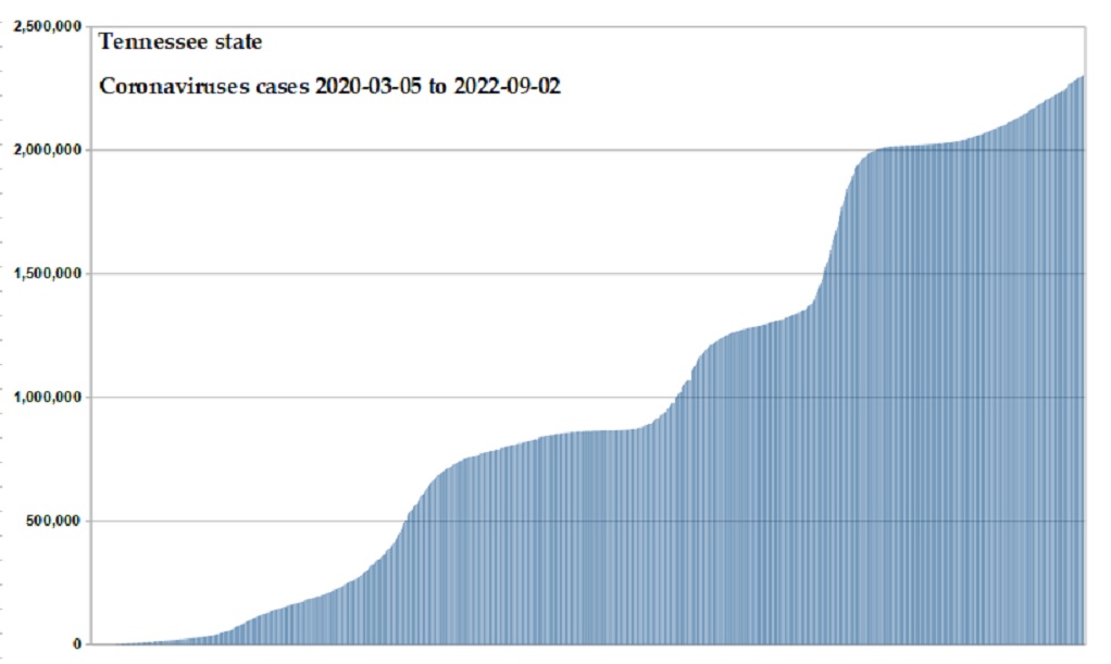 Coronavirus 2020 cases