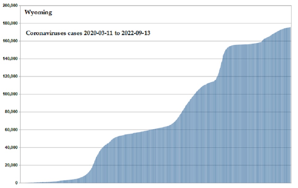 Coronavirus 2020 cases