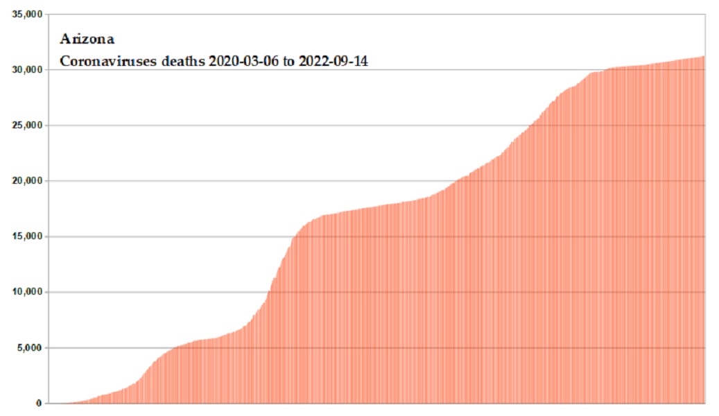 Coronavirus 2020 deaths
