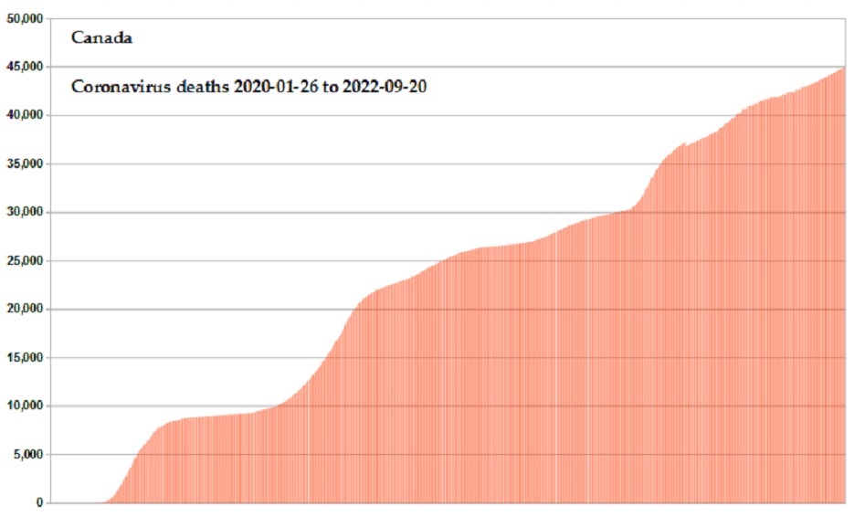 Coronavirus 2020 deaths