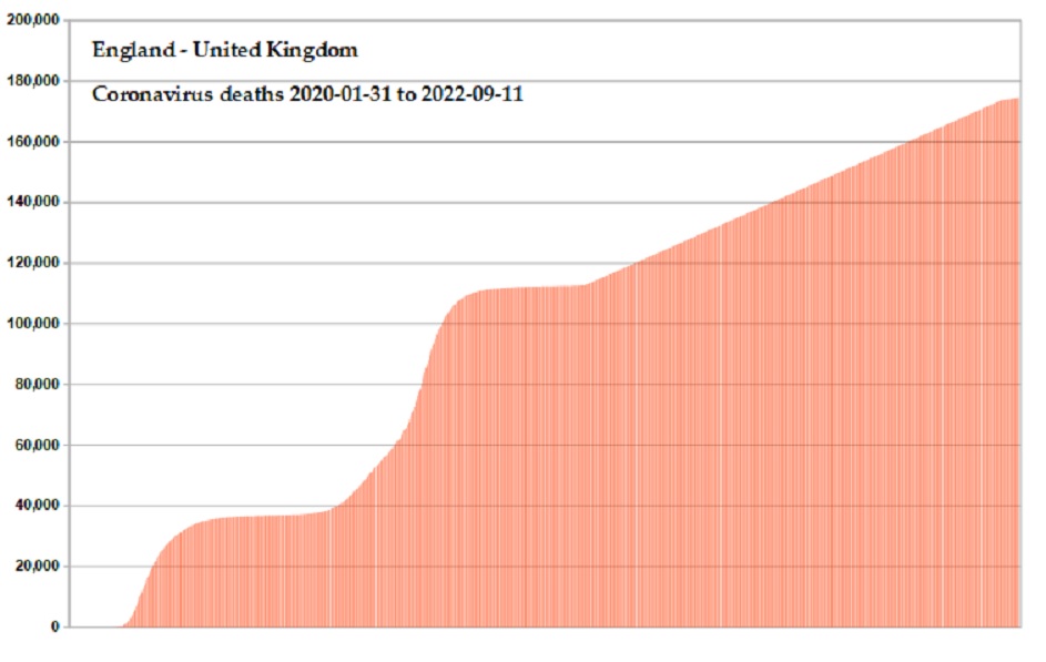 Coronavirus 2020 deaths