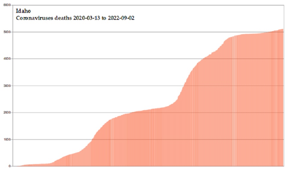 Coronavirus 2020 deaths