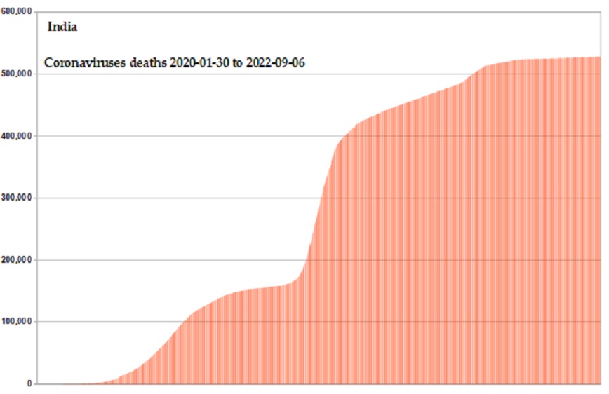 Coronavirus 2020 deaths