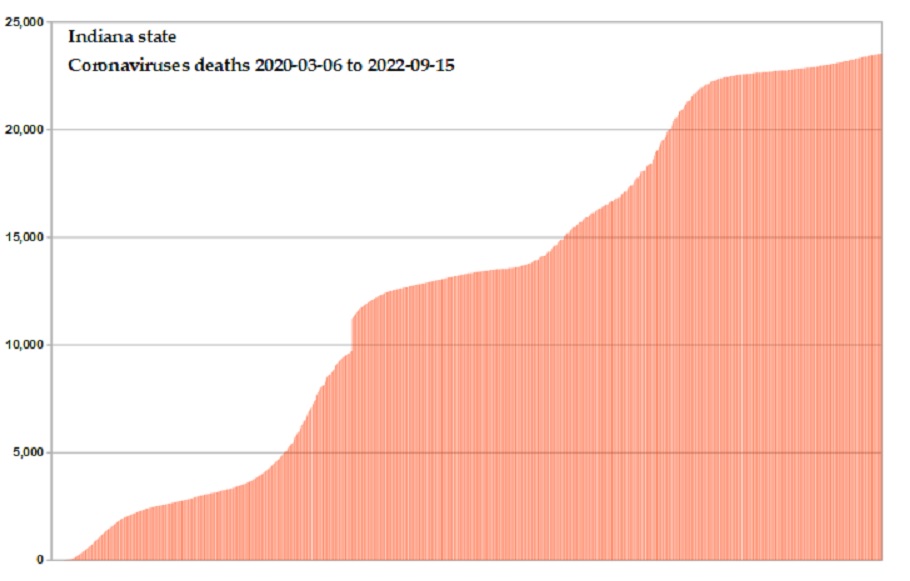 Coronavirus 2020 deaths