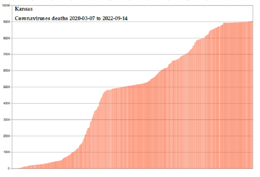 Coronavirus 2020 deaths