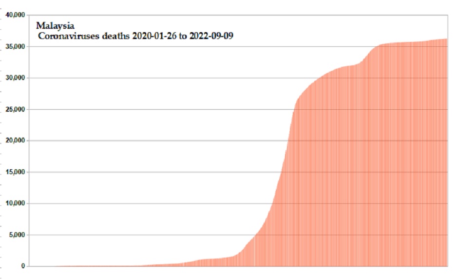 Coronavirus 2020 deaths