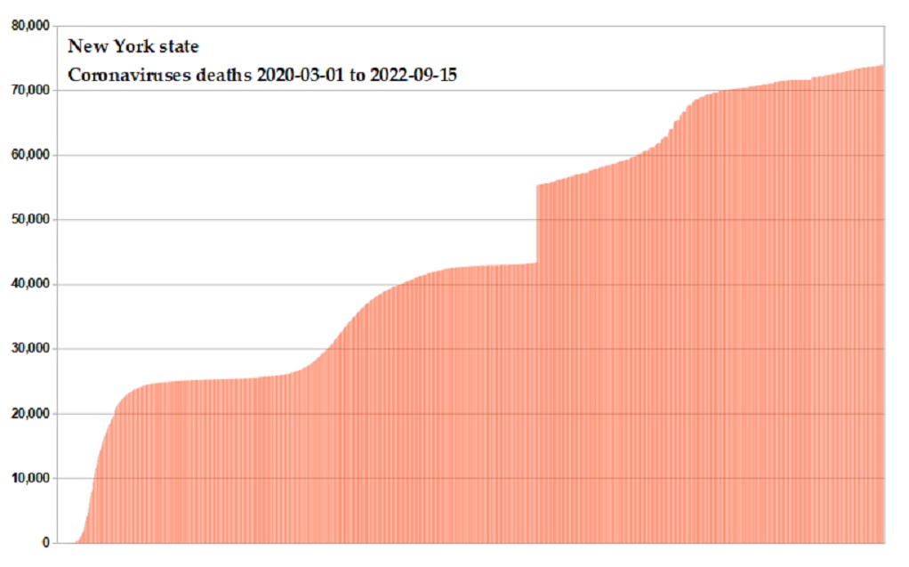 Coronavirus 2020 deaths