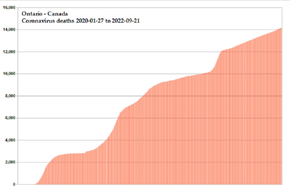 Coronavirus 2020 deaths