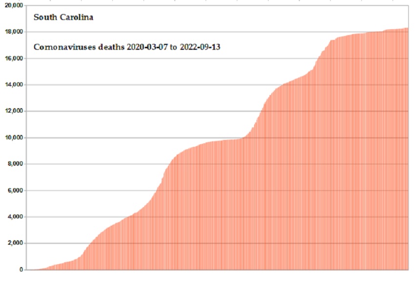 Coronavirus 2020 deaths