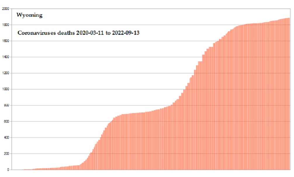 Coronavirus 2020 deaths