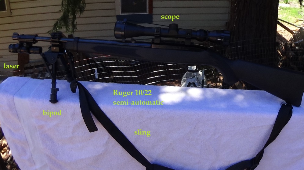 shotgun with laser and flashlight