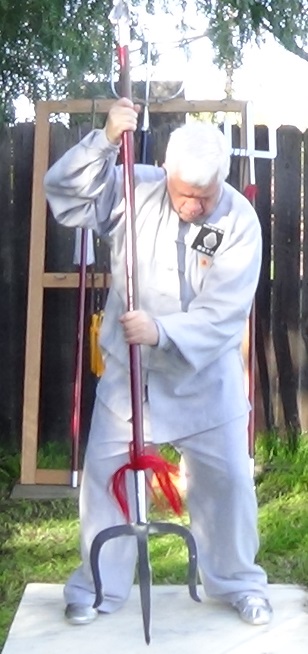 Southern fork - single whip pose