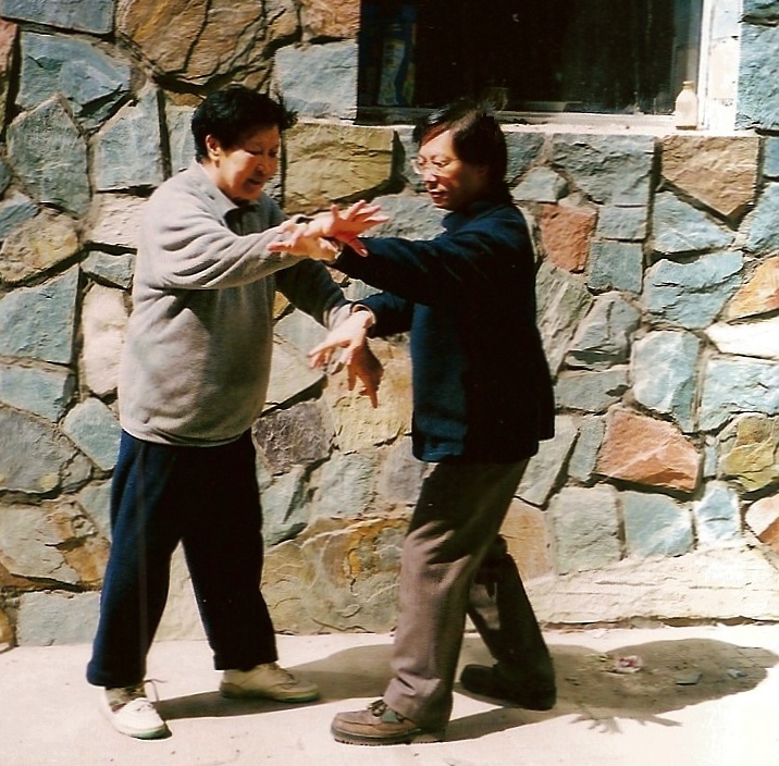Wang Yu Fang pushing hands